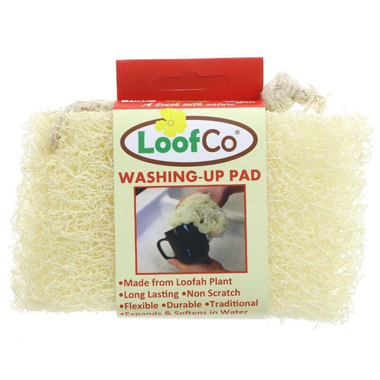 Washing Up Pad- 2PK Mini