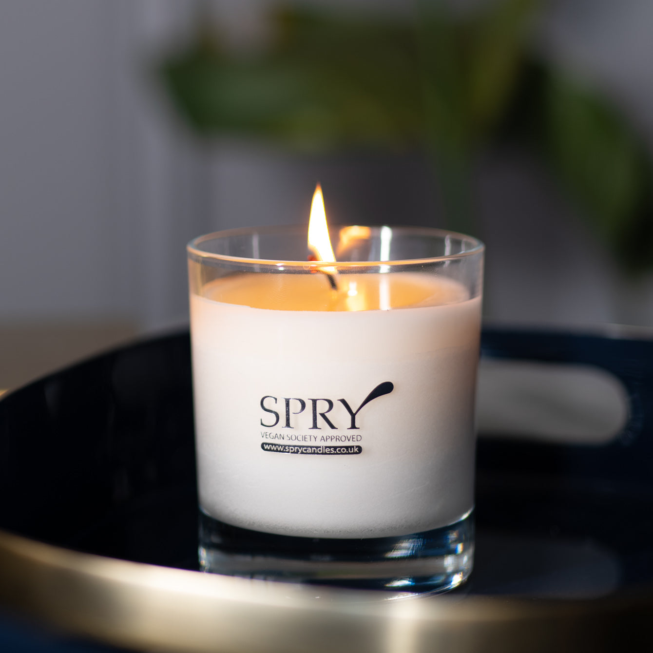 Spry Leez Home Fragrance