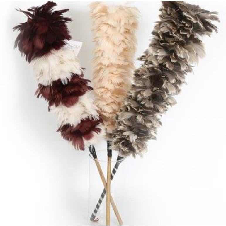 Feather Duster