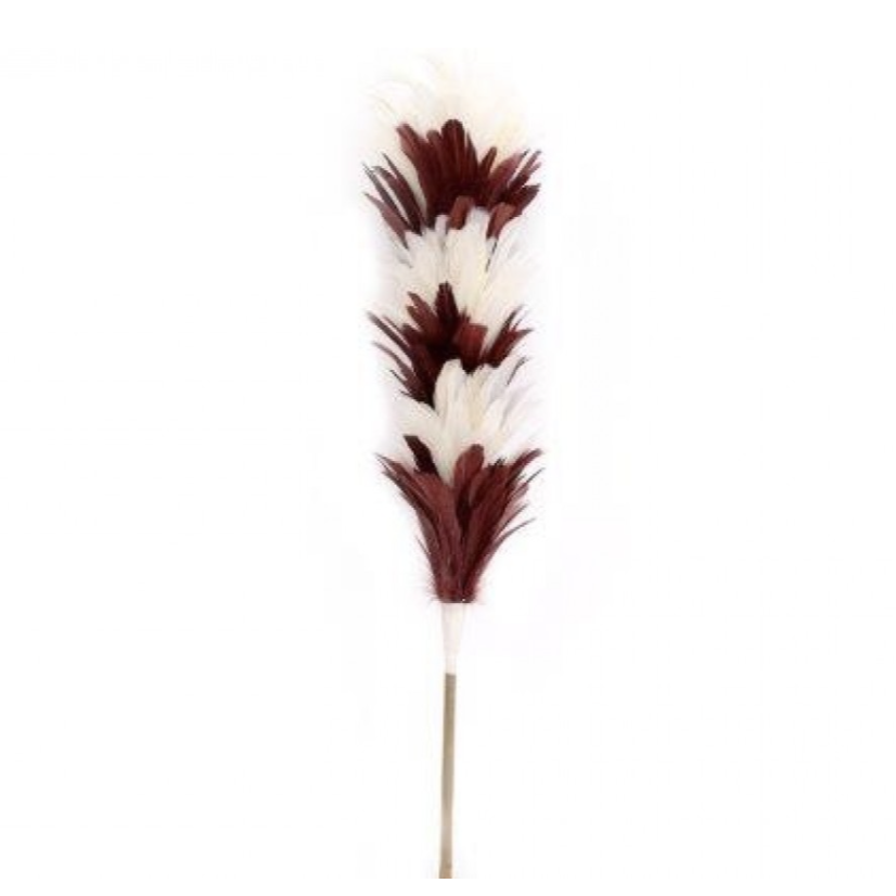 Feather Duster