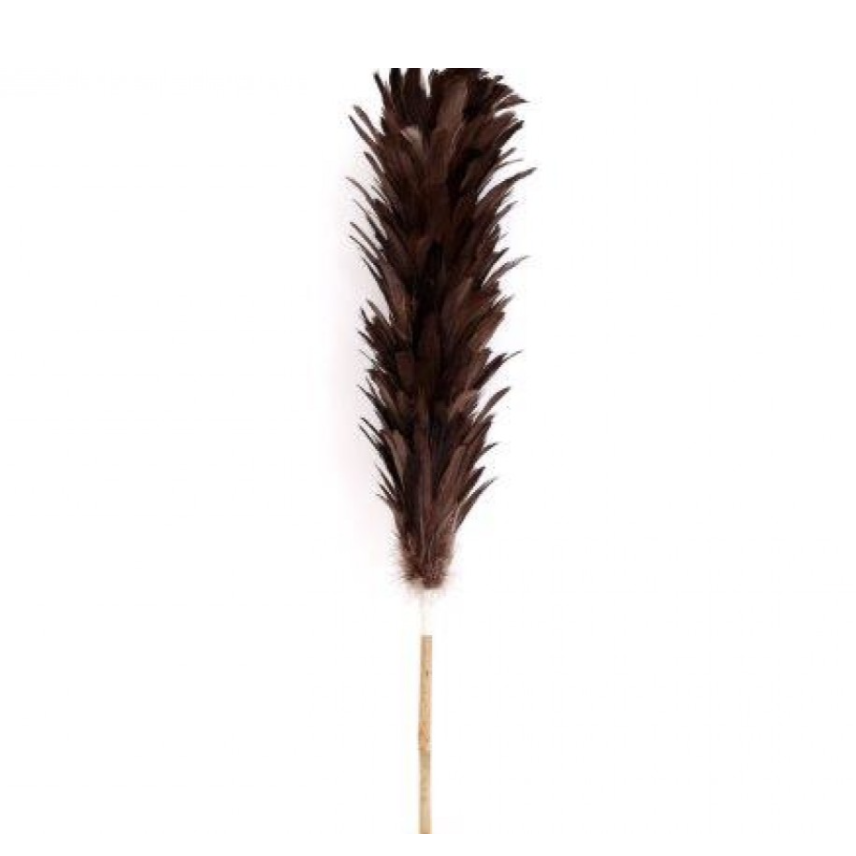 Feather Duster