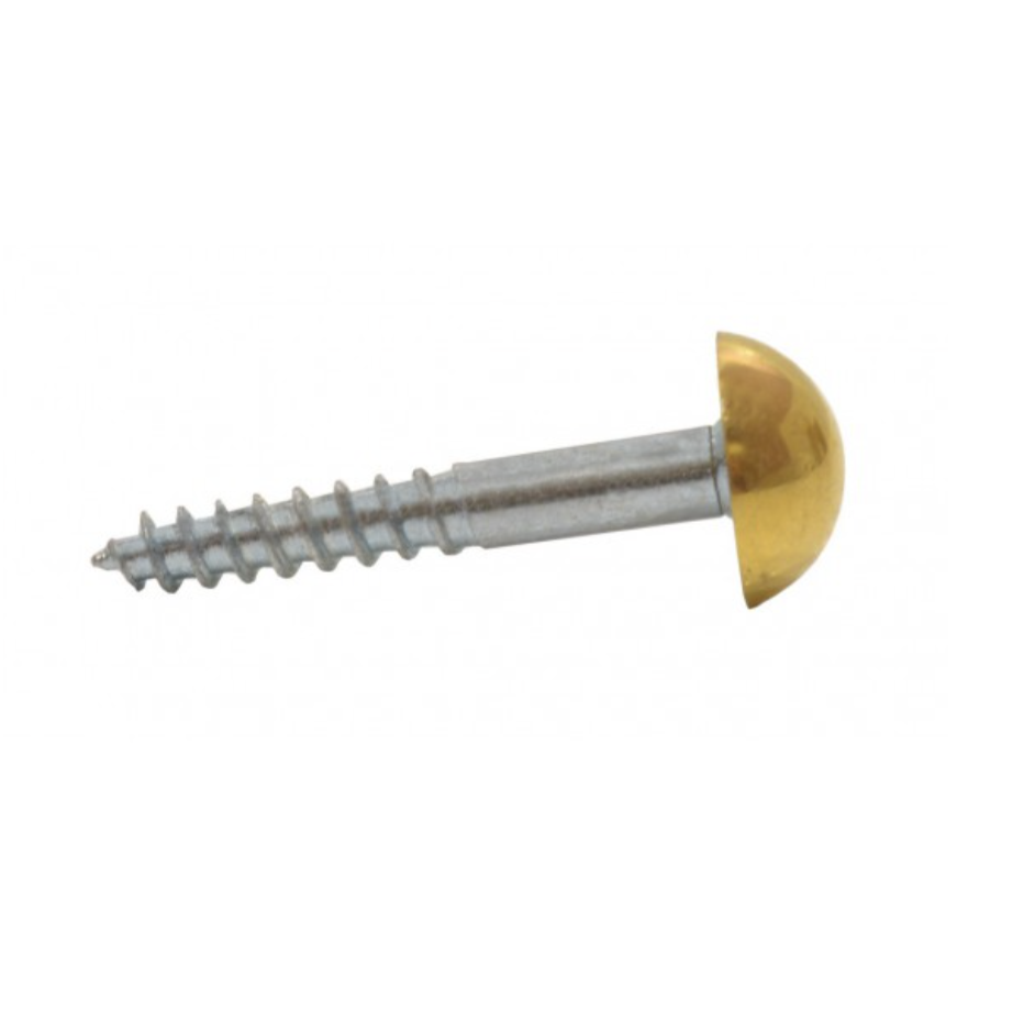 Mirror Screws