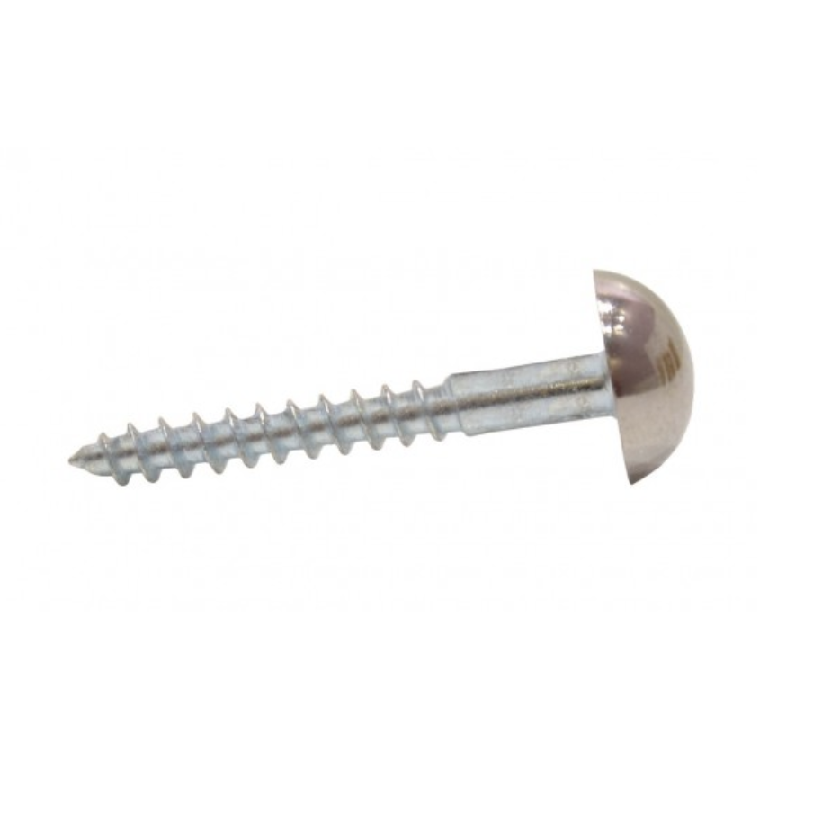 Mirror Screws