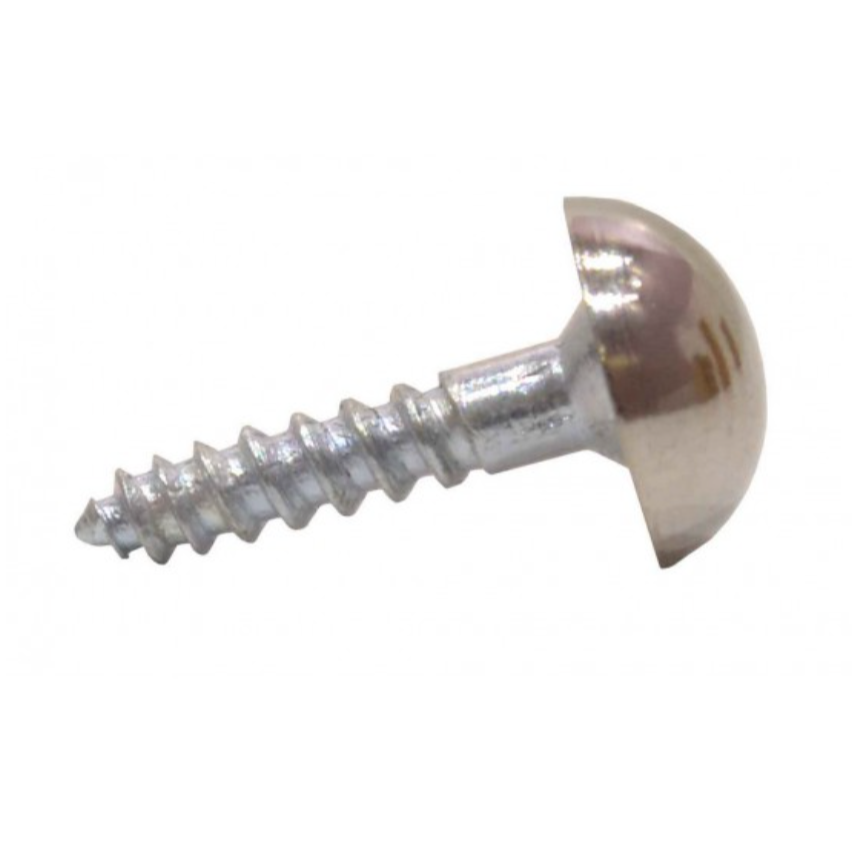 Mirror Screws