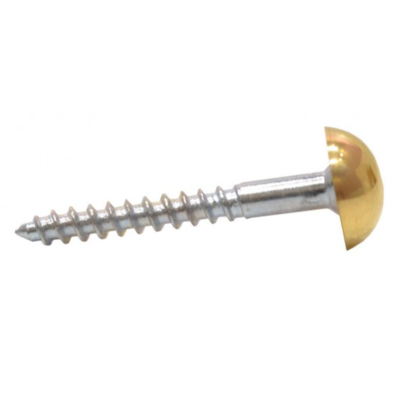 Mirror Screws