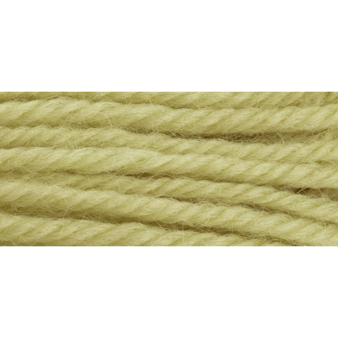 Tapisserie Wool 10m: Pale Green